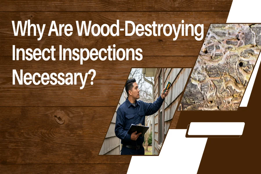 Why Are Wood-Destroying Insect Inspections Necessary?