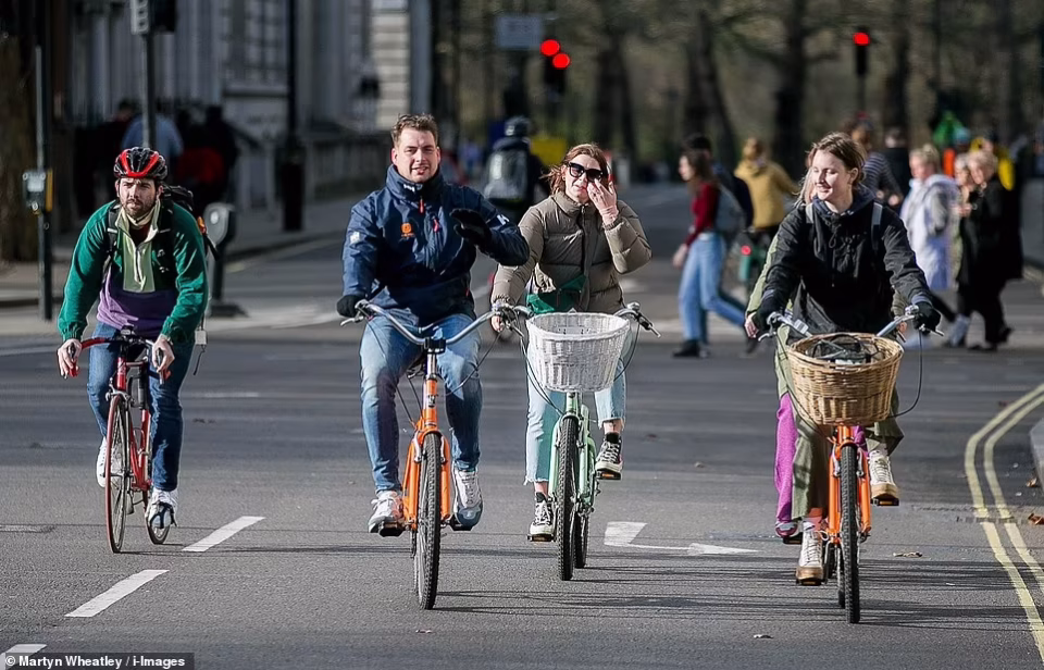 Cars Cyclists
