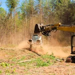 Professional Land Clearing