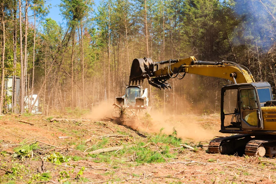 Professional Land Clearing
