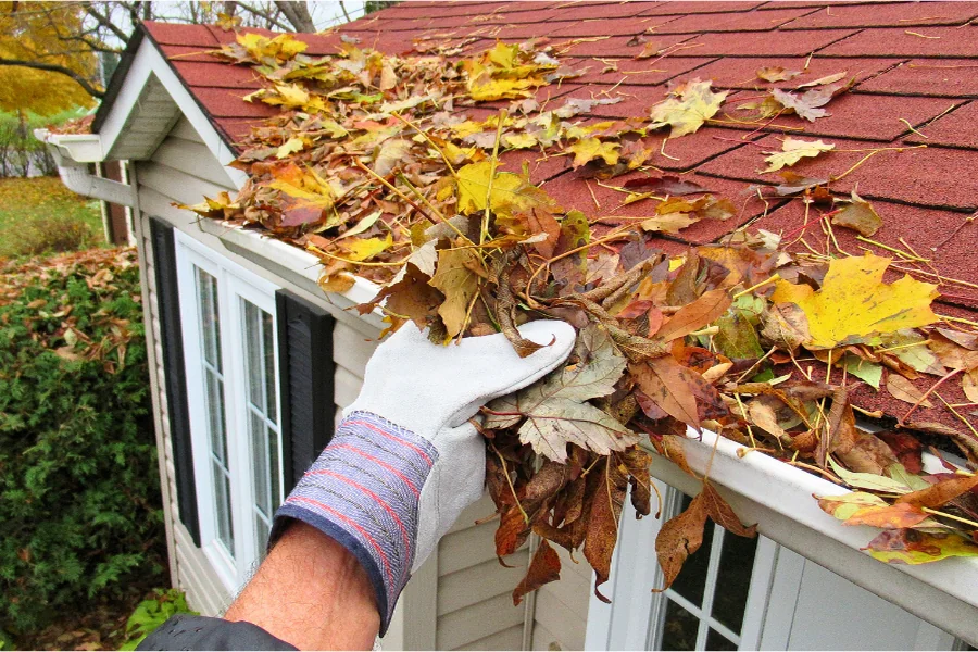 Exterior Maintenance Tasks That Save Homeowners Thousands in Future Repairs
